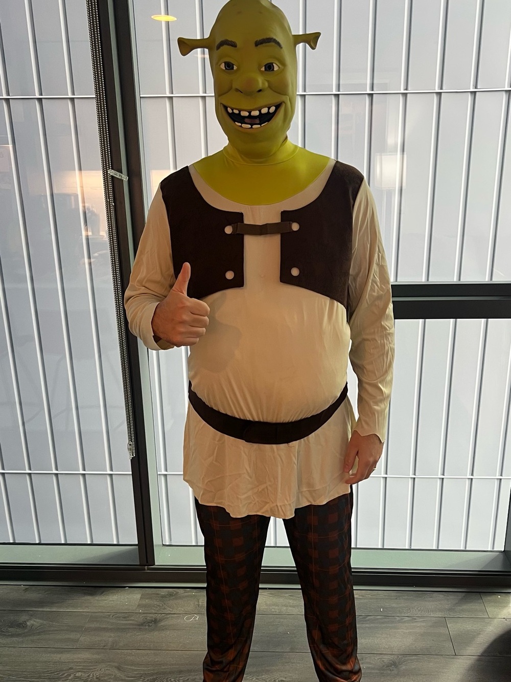 Shrek Adult Costume